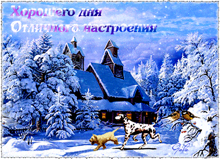 Открытка «Животное»: Хорошего дня и отличного настроения! Чудесная зима. Тэги: пожелание, красивая, позитив, радость…