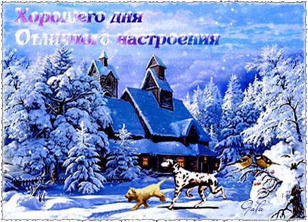 Открытка «Животное»: Хорошего дня и отличного настроения! Чудесная зима. Тэги: пожелание, красивая, позитив, радость…