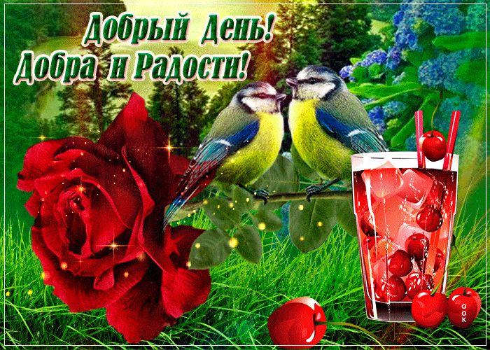 Открытка «Животное»: Добрый День! Пожелание добра и радости. Тэги: пожелание, красивая, радость, добрый день, цветок…