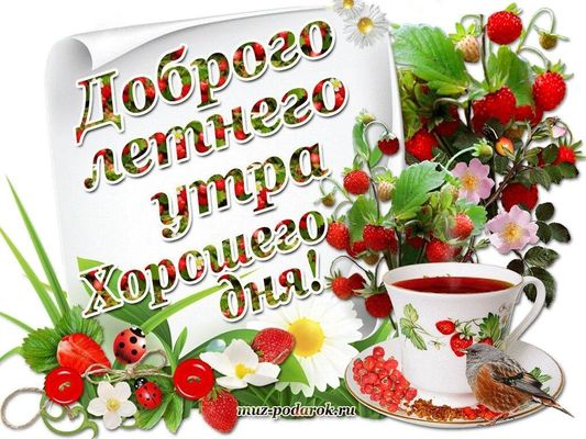 Открытка «Пожелание»: Доброго летнего утра! Хорошего дня!. Тэги: утро, красивая, позитив, радость, цветок, чай, чашка…