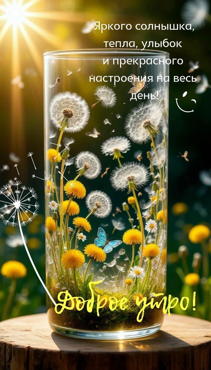 Открытка «Пожелание»: Доброе утро: солнышко, улыбки и настроение!. Тэги: улыбка, утро, красивая, позитив, радость…