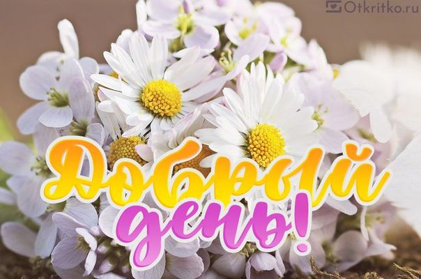 Открытка «Пожелание»: Добрый день! Открытка с нежными цветами и пожеланием. Тэги: отличное настроение, красивая…