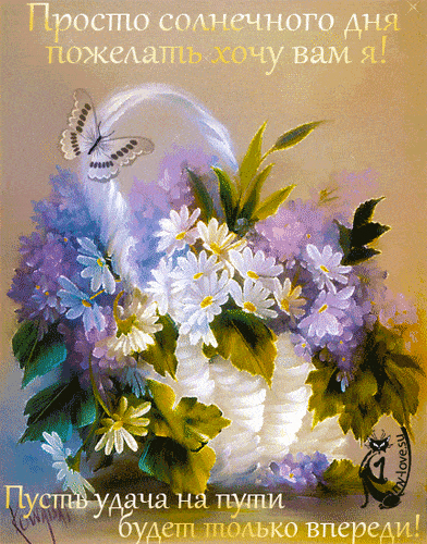 Открытка «Пожелание»: Прекрасное пожелание: солнечный день и удача!. Тэги: красивая, позитив, цветок, настроение…