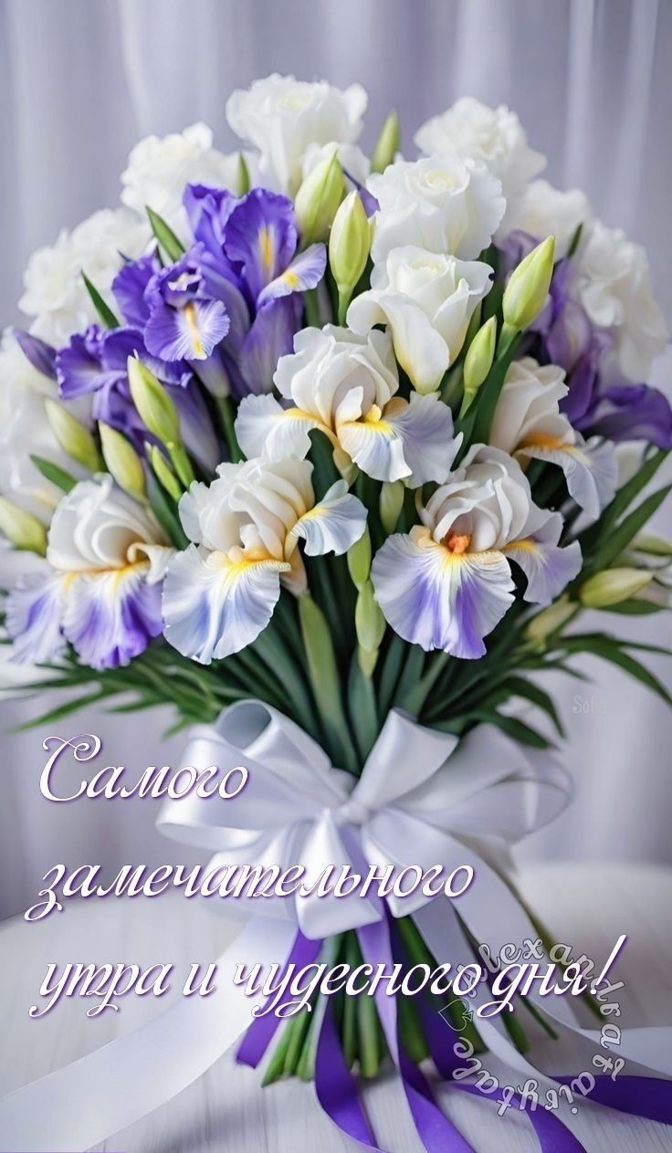 Открытка «Пожелание»: Самого замечательного утра и чудесного дня!. Тэги: улыбка, красивая, позитив, хорошее настроение…