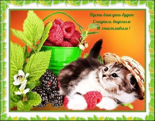 Открытка «Кот»: Пусть день будет сладким и счастливым!. Тэги: животное, пожелание, улыбка, красивая, позитив, радость…