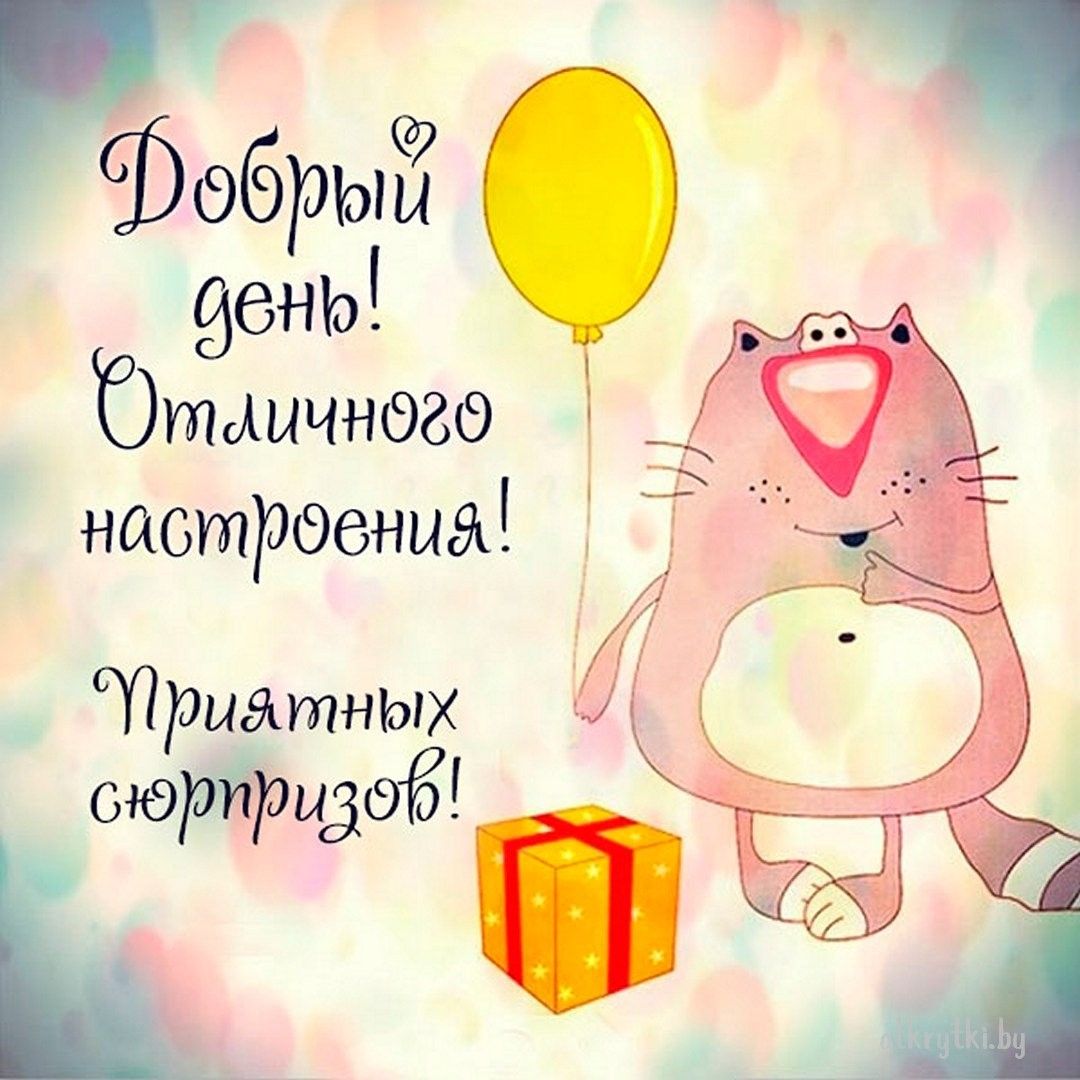 Открытка «Кот»: Добрый день! Отличного настроения и сюрпризов!. Тэги: пожелание, отличное настроение, улыбка, красивая…