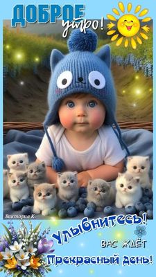 Открытка «Кот»: Доброе утро! Прекрасный день ждет вас! Улыбка. Тэги: животное, пожелание, улыбка, шапка, утро, позитив…