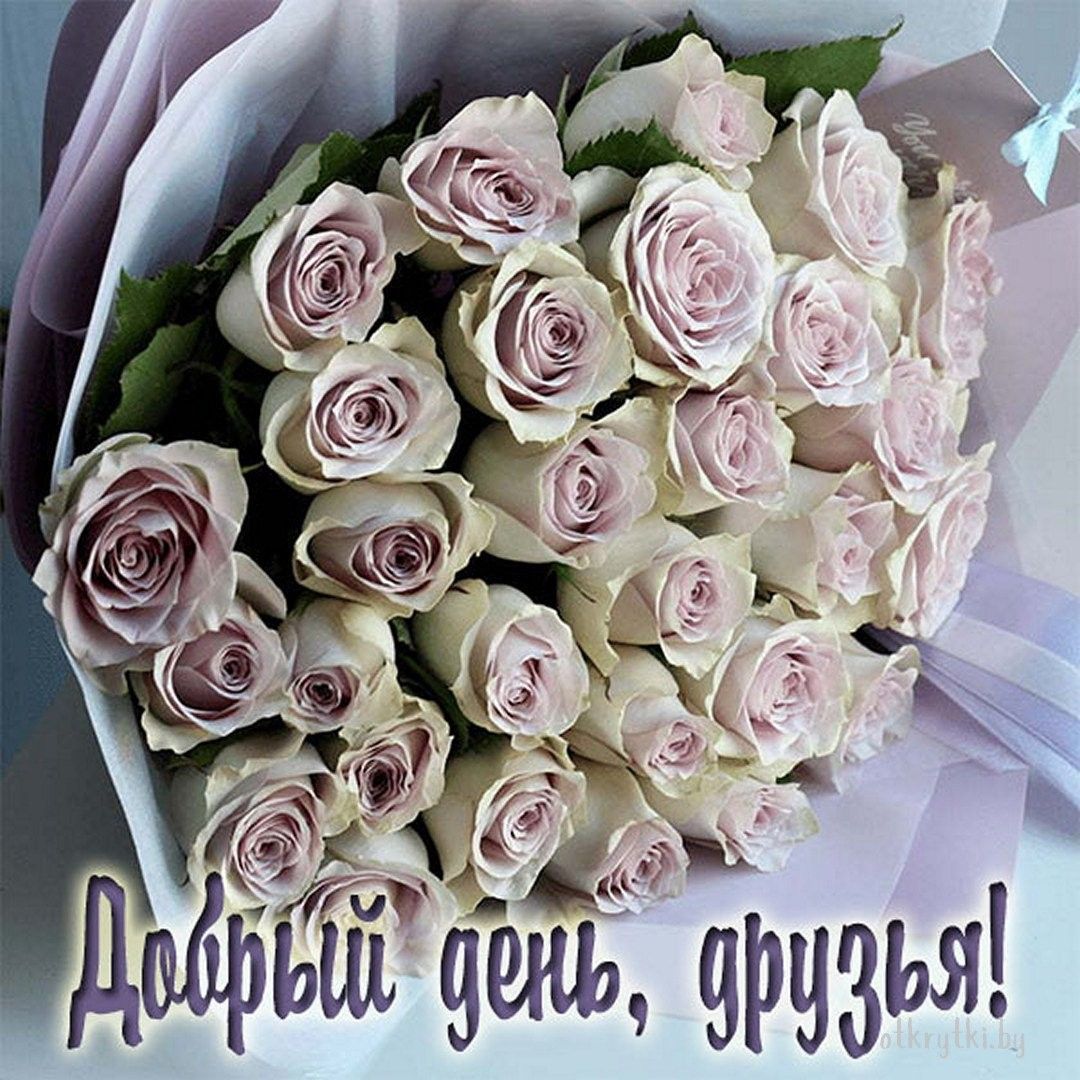 Открытка «Пожелание»: Добрый день, друзья! Красивый букет роз для настроения. Тэги: друг, подруга, мужчина, женщина…