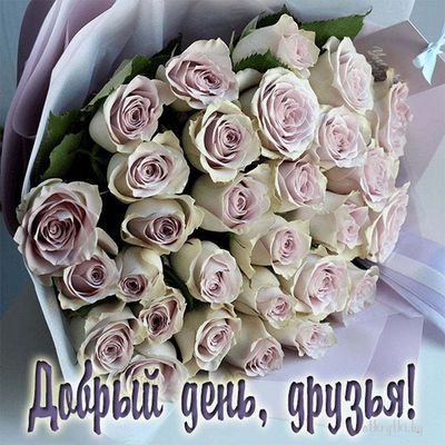 Открытка «Пожелание»: Добрый день, друзья! Красивый букет роз для настроения. Тэги: друг, подруга, мужчина, женщина…