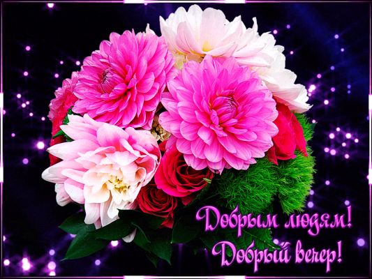 Открытка «Пожелание»: Добрый вечер! Красивая открытка с букетом цветов. Тэги: красивая, радость, цветок, настроение…