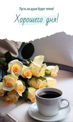Открытка «Пожелание»: Хорошего дня! Теплое пожелание с кофе и розами. Тэги: хорошего дня, утро, красивая, кофе…