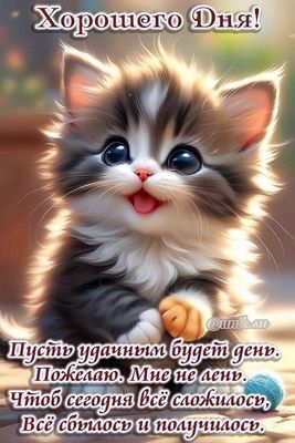 Открытка «Кот»: Открытка: Хорошего Дня! С милым котенком и пожеланием. Тэги: животное, пожелание, улыбка, друг…
