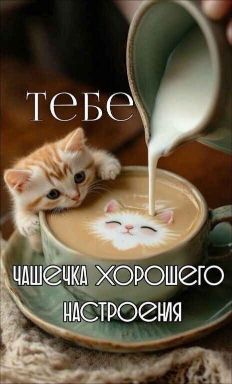 Открытка «Кот»: Чашечка хорошего настроения с милым котиком. Тэги: животное, пожелание, утро, друг, подруга, кофе…