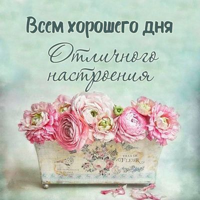 Открытка «Пожелание»: Всем хорошего дня и отличного настроения! Букет цветов.. Тэги: отличное настроение, женщина…