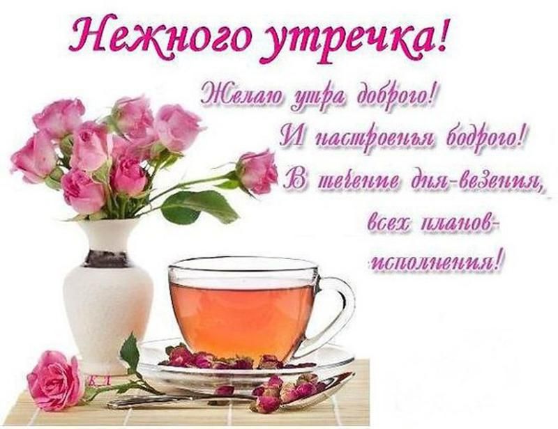 Открытка «Пожелание»: Нежного утречка! Пожелание доброго утра и настроения. Тэги: утро, красивая, хорошее настроение…