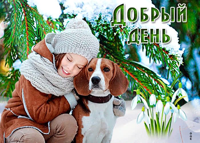 Открытка «Животное»: Добрый день! Счастливая девочка и собака в снегу.. Тэги: пожелание, улыбка, шапка, шарф, радость…