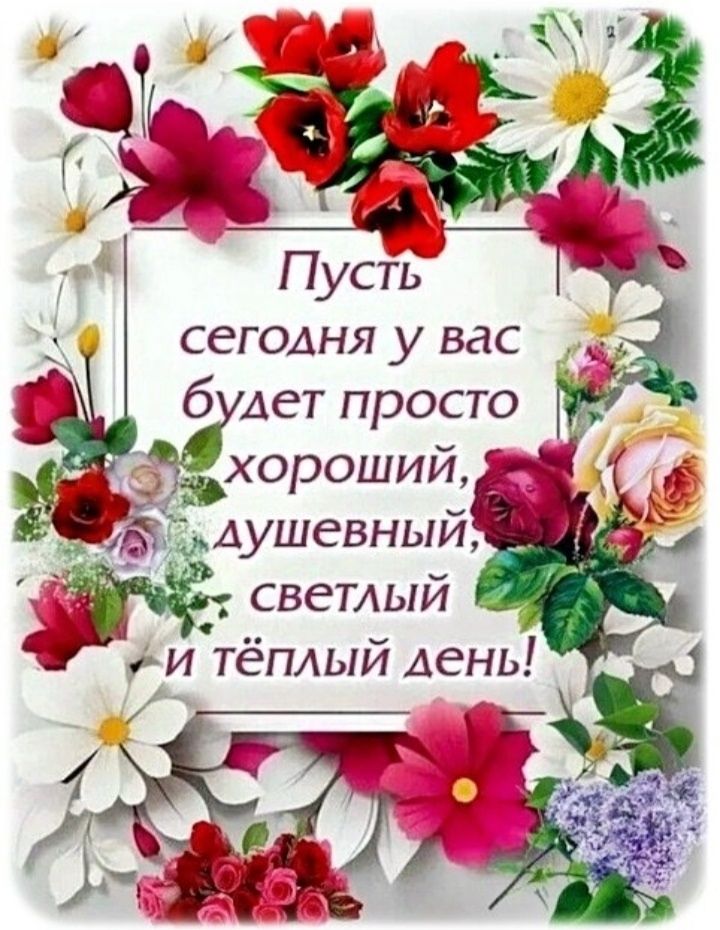 Открытка «Пожелание»: Пожелание хорошего дня: яркие цветы и тепло. Тэги: улыбка, друг, подруга, мужчина, женщина…