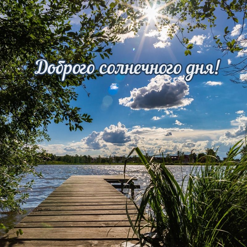 Открытка «Пожелание»: Доброго солнечного дня! Пожелание и летний пейзаж. Тэги: отличное настроение, красивая, позитив…
