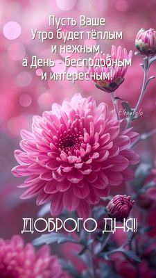 Открытка «Пожелание»: Доброго дня! Нежное пожелание с цветком. Тэги: утро, друг, подруга, женщина, красивая, позитив…