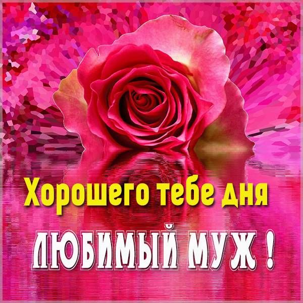 Открытка «Пожелание»: Хорошего дня, любимый муж! Нежная роза. Тэги: красивая, позитив, хорошее настроение, радость…