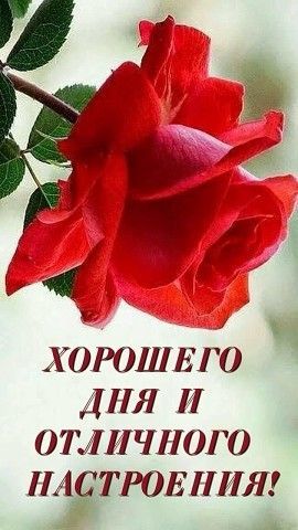 Открытка «Пожелание»: Яркая открытка: Хорошего дня и отличного настроения. Тэги: улыбка, утро, друг, подруга, женщина…