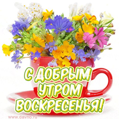 Открытка «Пожелание»: С добрым утром воскресенья! Яркие цветы для настроения. Тэги: утро, красивая, позитив, радость…