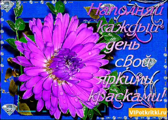 Открытка «Пожелание»: Наполняй каждый день яркими красками! Пожелание. Тэги: друг, подруга, мужчина, женщина, красивая…