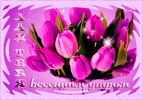 Открытка «Пожелание»: С весенним утром! Красивые тюльпаны. Тэги: утро, хорошее настроение, цветок, весна, красивый…