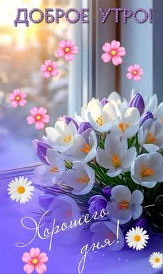 Открытка «Пожелание»: Доброе утро и хорошего дня! Весенние крокусы. Тэги: улыбка, утро, красивая, позитив, радость…