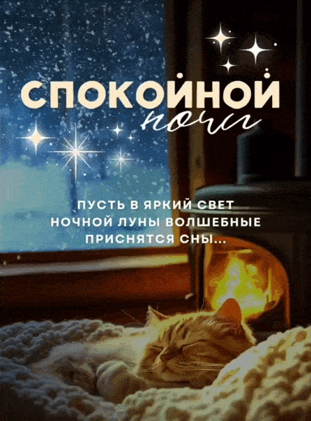 Открытка «Кот»: Спокойной ночи: волшебные сны и уютный кот. Тэги: животное, пожелание, красивая, уют, окно, звезда…