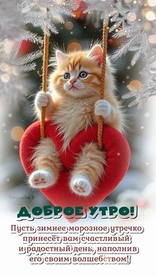 Открытка «Кот»: Доброе утро! Зимнее утро с пушистым котиком и сердцем. Тэги: животное, пожелание, утро, красивая…