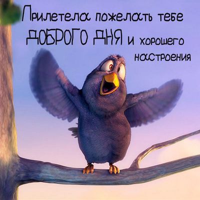 Открытка «Животное»: Доброго дня и прекрасного настроения!. Тэги: пожелание, улыбка, позитив, хорошее настроение…