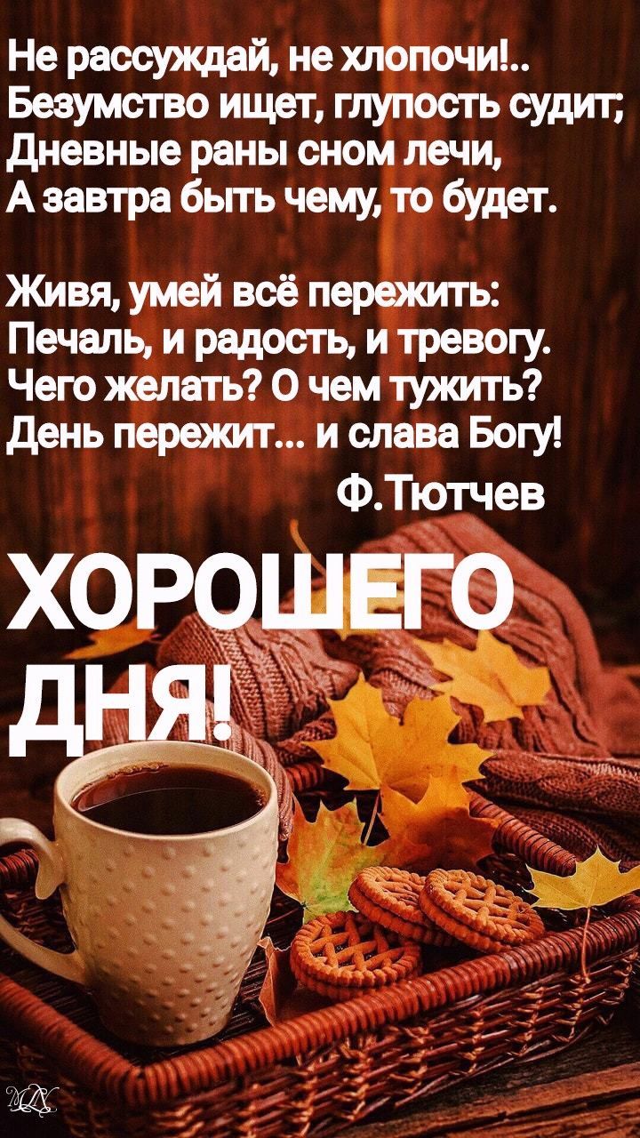 Открытка «Пожелание»: Хорошего дня! Мудрое пожелание с кофе и осенью. Тэги: хорошего дня, красивая, кофе, хорошее нас…