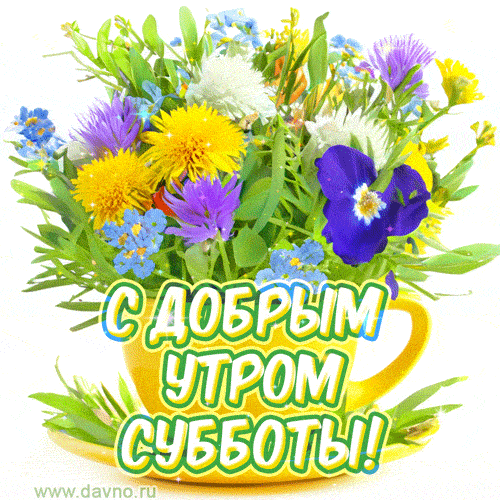 Открытка «Пожелание»: Отличного утра субботы! Красивые цветы, позитив.. Тэги: красивая, позитив, радость, цветок…