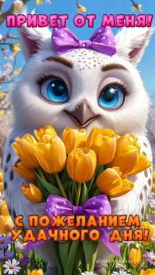 Открытка «Животное»: Привет от меня! Пожелание удачного дня с милой совой. Тэги: пожелание, улыбка, красивая, позитив…