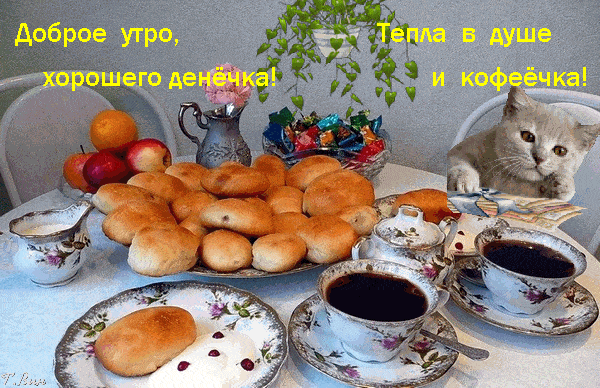 Открытка «Кот»: Доброе утро! Тепла в душе и кофеёчка!. Тэги: животное, пожелание, утро, красивая, кофе, позитив…