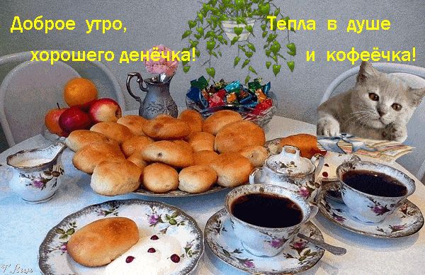 Открытка «Кот»: Доброе утро! Тепла в душе и кофеёчка!. Тэги: животное, пожелание, утро, красивая, кофе, позитив…