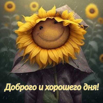 Открытка «Пожелание»: Доброго и хорошего дня! Солнце, улыбка и позитив. Тэги: улыбка, красивая, позитив, хорошее наст…