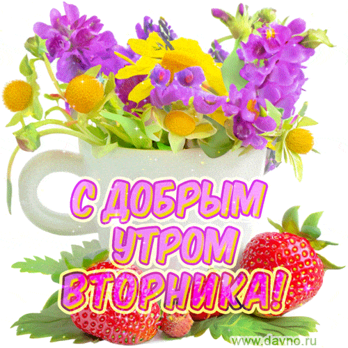 Открытка «Пожелание»: С добрым утром вторника! Яркие цветы и клубника. Тэги: отличное настроение, утро, красивая…
