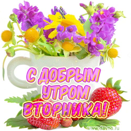 Открытка «Пожелание»: С добрым утром вторника! Яркие цветы и клубника. Тэги: отличное настроение, утро, красивая…