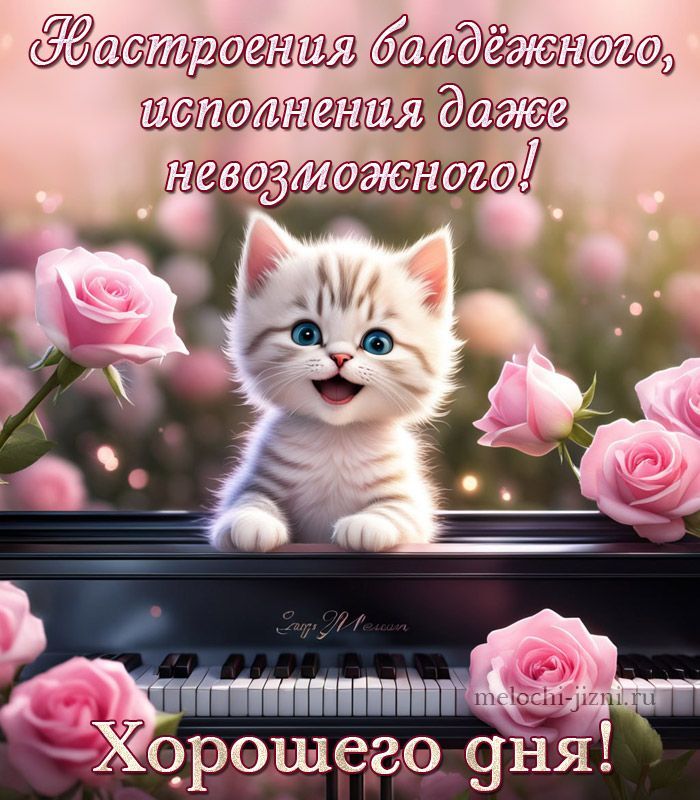 Открытка «Кот»: Хорошего дня! Котёнок и розы для чудесного настроения. Тэги: пожелание, хорошего дня, улыбка, красивая…