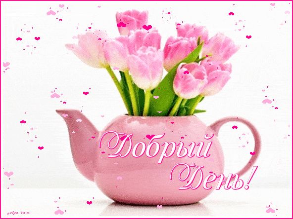 Открытка «Пожелание»: Добрый день: нежные тюльпаны и красивое пожелание. Тэги: красивая, позитив, радость, добрый день…