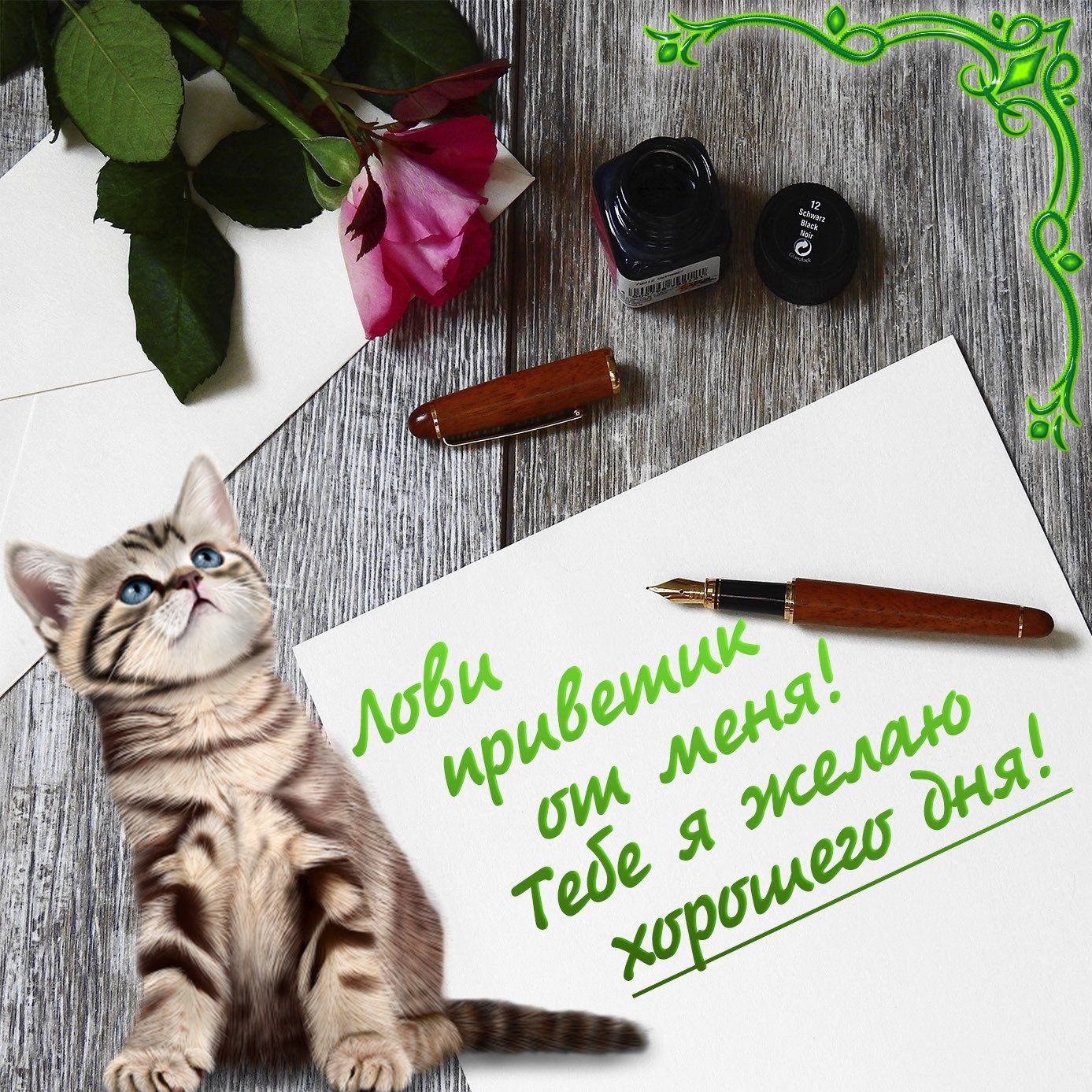 Открытка «Кот»: Открытка с котиком: Приветик и Хорошего дня!. Тэги: животное, пожелание, улыбка, друг, подруга…