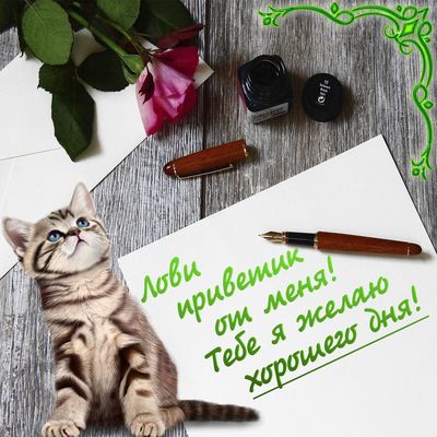 Открытка «Кот»: Открытка с котиком: Приветик и Хорошего дня!. Тэги: животное, пожелание, улыбка, друг, подруга…