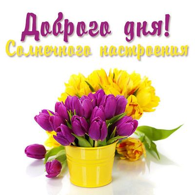 Открытка «Пожелание»: Доброго дня! Солнечное настроение и тюльпаны. Тэги: улыбка, красивая, радость, цветок, настроен…
