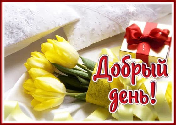 Открытка «Пожелание»: Добрый день с букетом тюльпанов и позитивом. Тэги: улыбка, красивая, позитив, радость, добрый д…