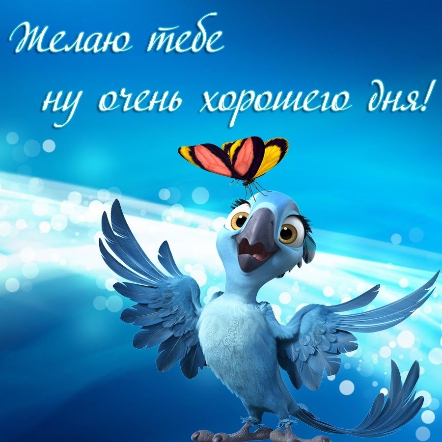 Открытка «Животное»: Пожелание хорошего дня с милой птичкой. Тэги: пожелание, улыбка, позитив, радость, настроение…