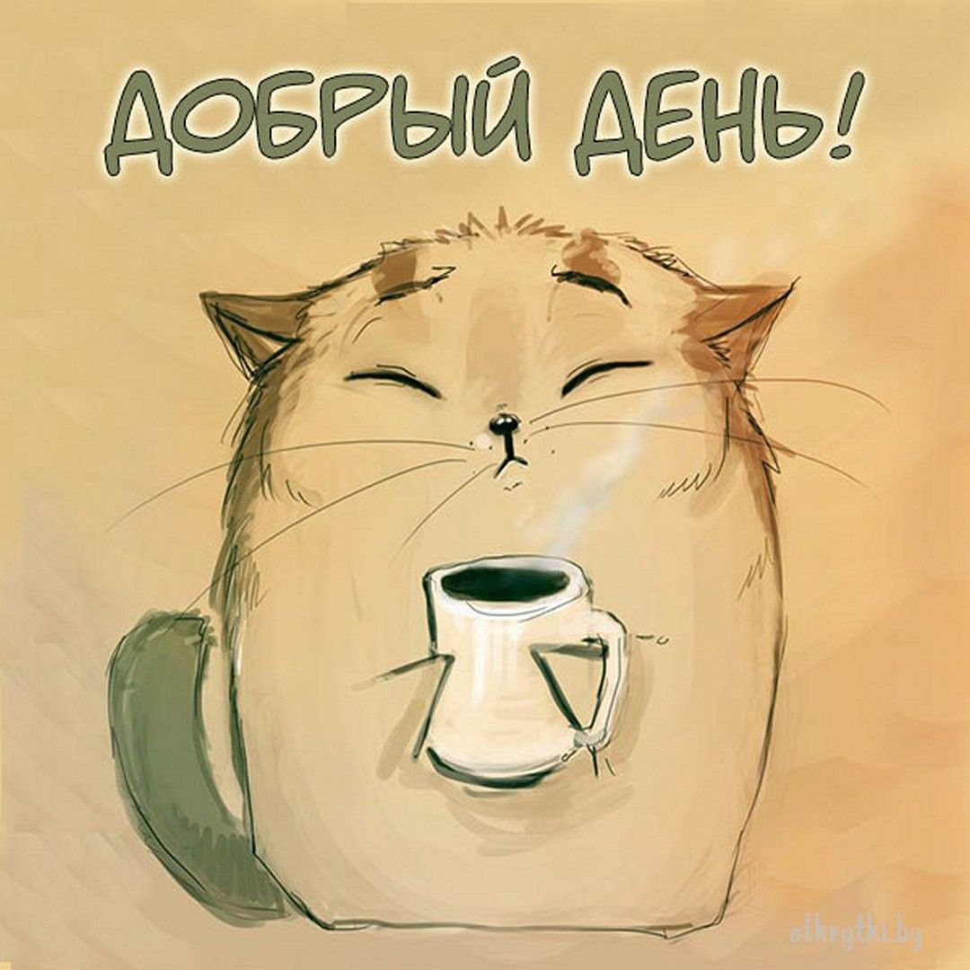 Открытка «Кот»: Добрый день! Открытка с милым котом и кофе. Тэги: животное, пожелание, улыбка, друг, подруга, кофе…