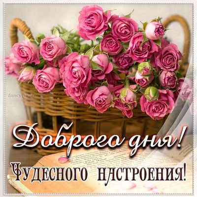 Открытка «Пожелание»: Доброго дня и чудесного настроения! Букет роз.. Тэги: мужчина, женщина, красивая, позитив…