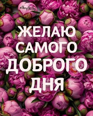 Открытка «Пожелание»: Желаю Доброго Дня: красивые цветы и пожелание. Тэги: друг, подруга, мужчина, женщина, красивая…